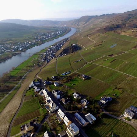 Moselie Ferienwohnung Kinheim Mosel Kültér fotó