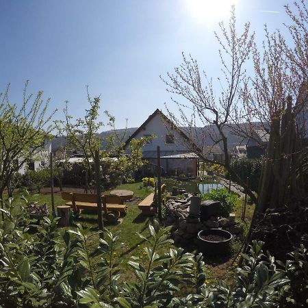 Moselie Ferienwohnung Kinheim Mosel Kültér fotó