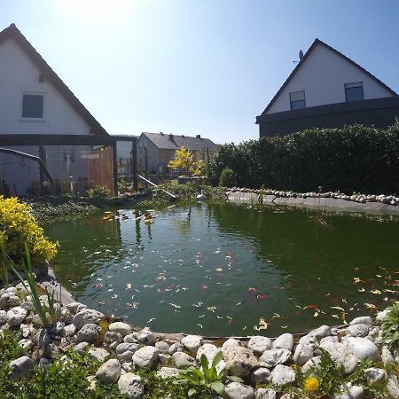 Moselie Ferienwohnung Kinheim Mosel Kültér fotó