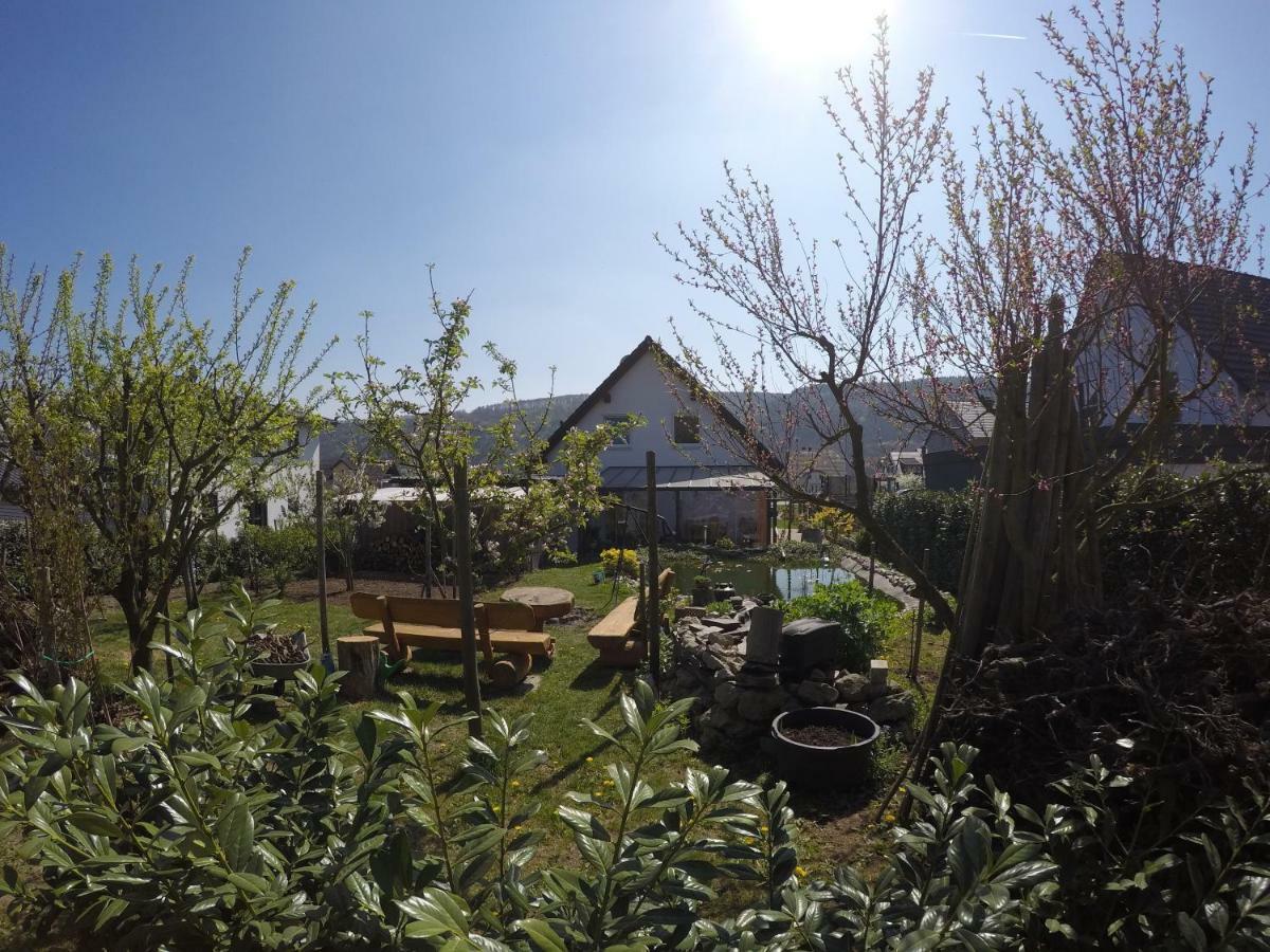 Moselie Ferienwohnung Kinheim Mosel Kültér fotó