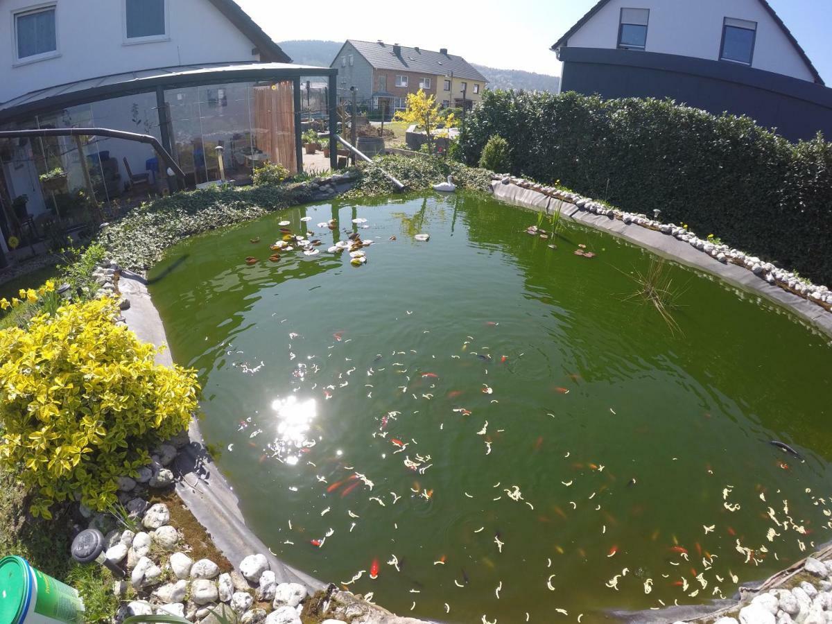 Moselie Ferienwohnung Kinheim Mosel Kültér fotó