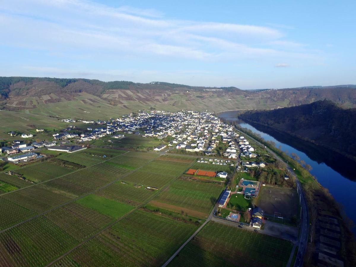 Moselie Ferienwohnung Kinheim Mosel Kültér fotó